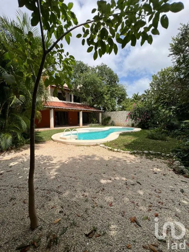 Casa en Renta en Campestre, Benito Juárez, Quintana Roo | NEX-202265 | iad México | Foto 15 de 33