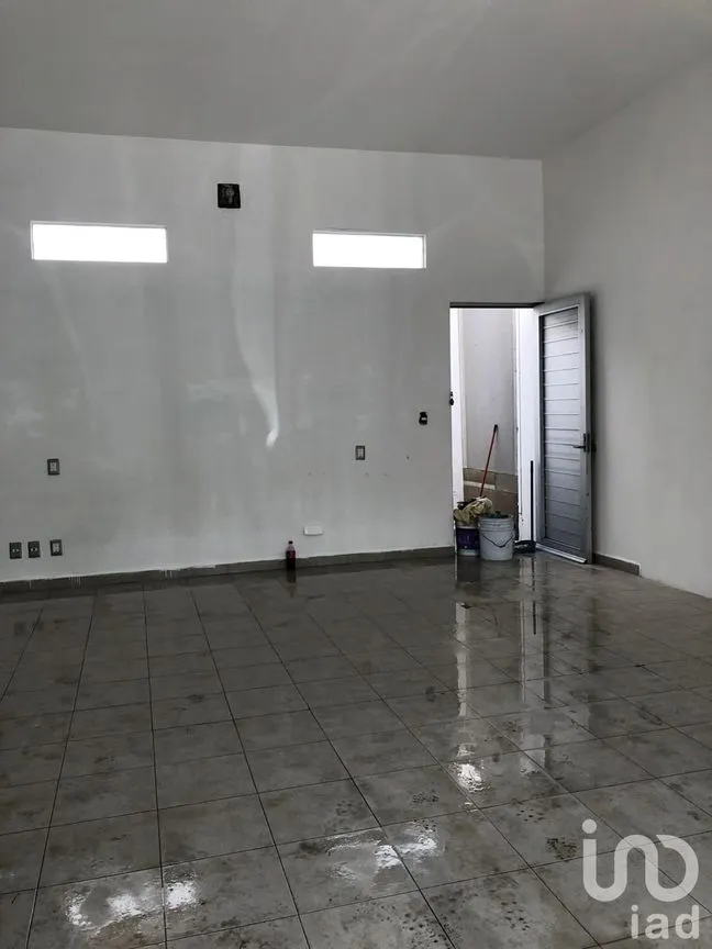 Local en Renta en Supermanzana 312, Benito Juárez, Quintana Roo | NEX-228313 | iad México | Foto 5 de 7