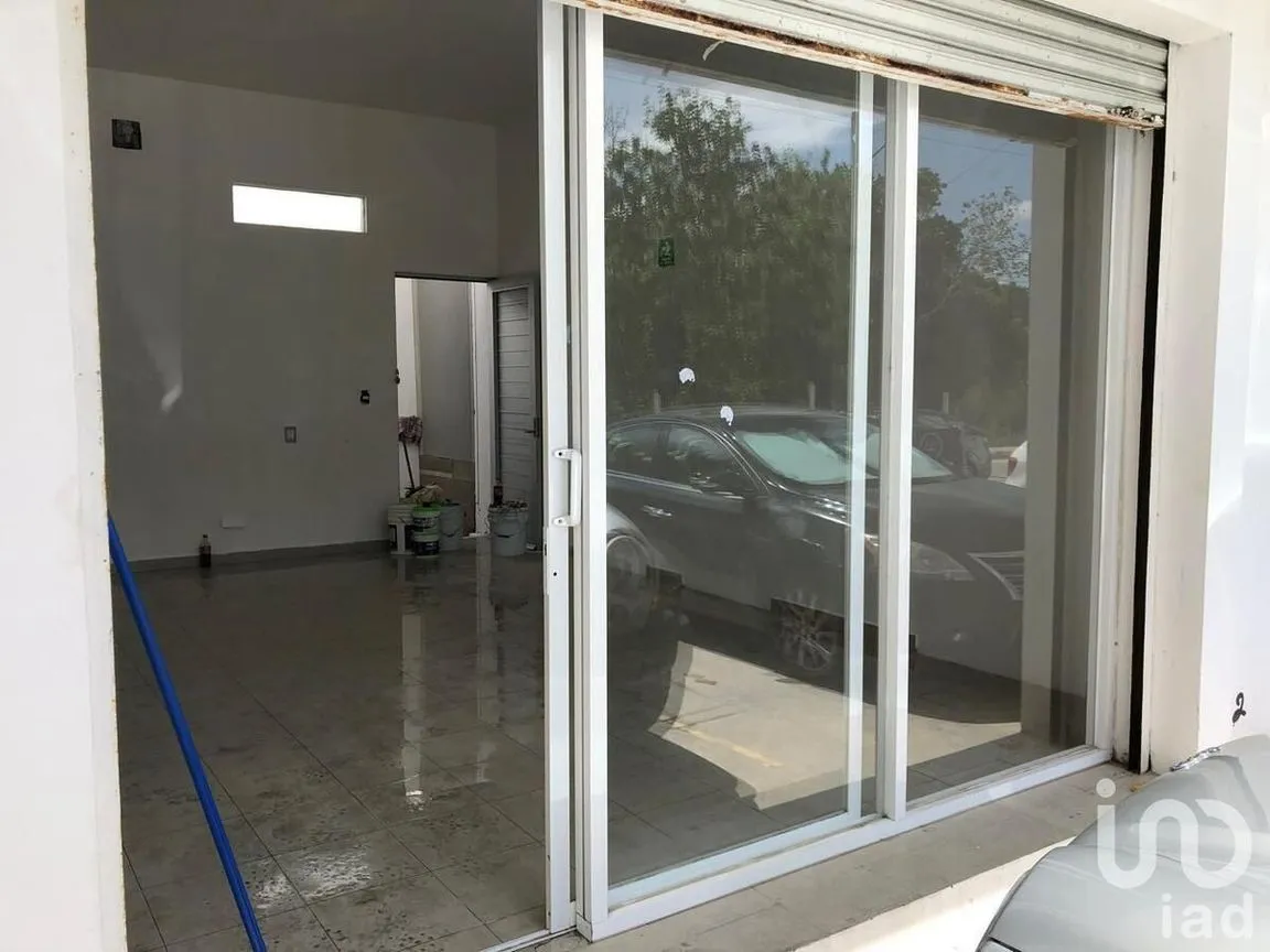 Local en Renta en Supermanzana 312, Benito Juárez, Quintana Roo | NEX-228313 | iad México | Foto 7 de 7