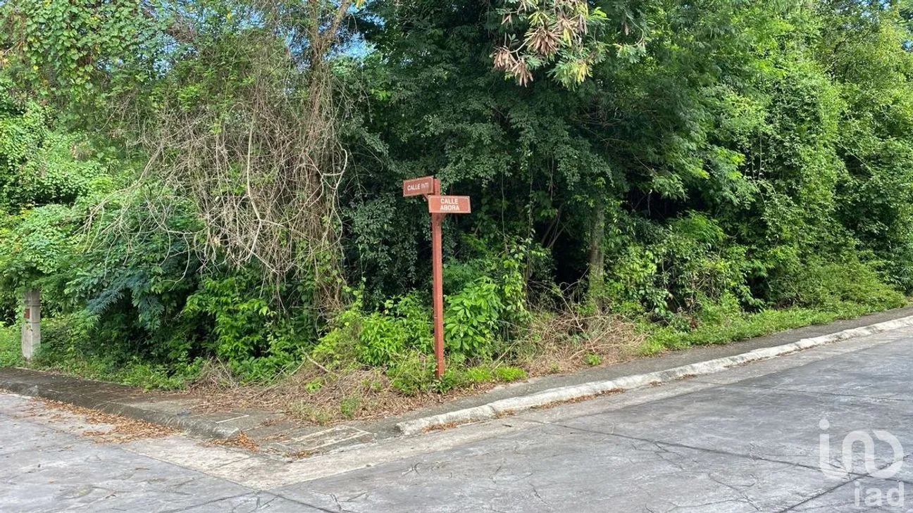 Terreno en Venta en Puerto Morelos, Puerto Morelos, Quintana Roo | NEX-280211 | iad México | Foto 2 de 8