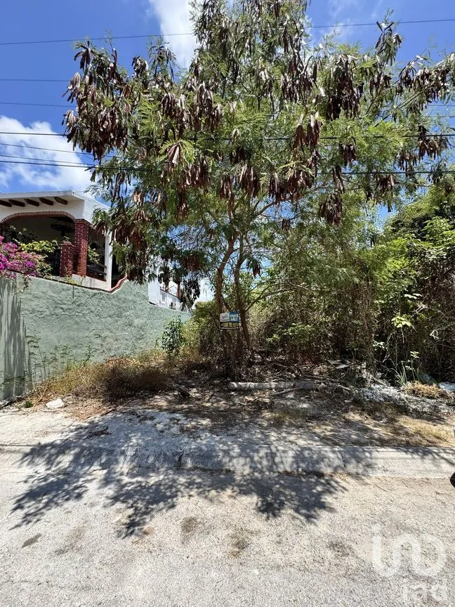Terreno en Venta en Región 503, Benito Juárez, Quintana Roo | NEX-283175 | iad México | Foto 2 de 6