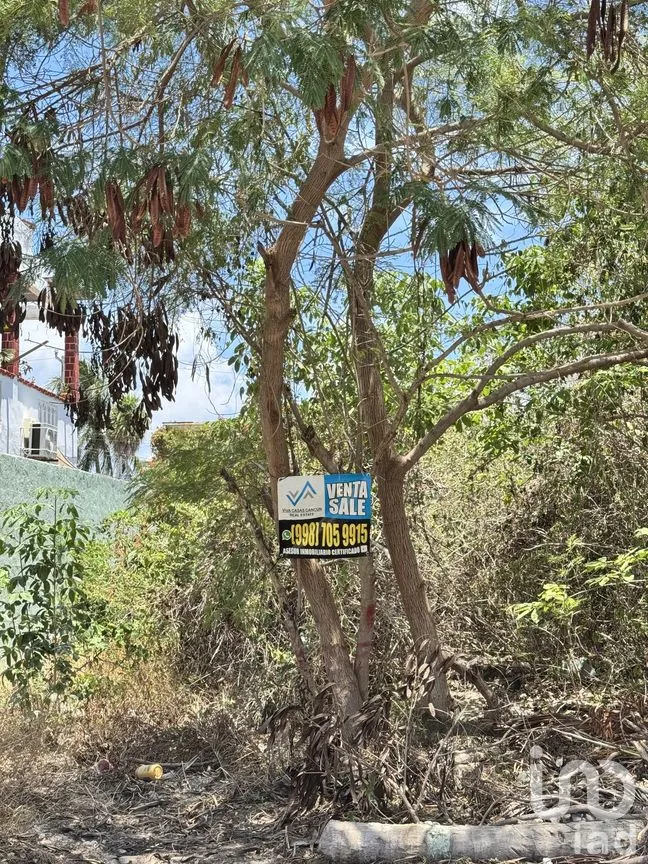 Terreno en Venta en Región 503, Benito Juárez, Quintana Roo | NEX-283175 | iad México | Foto 3 de 6