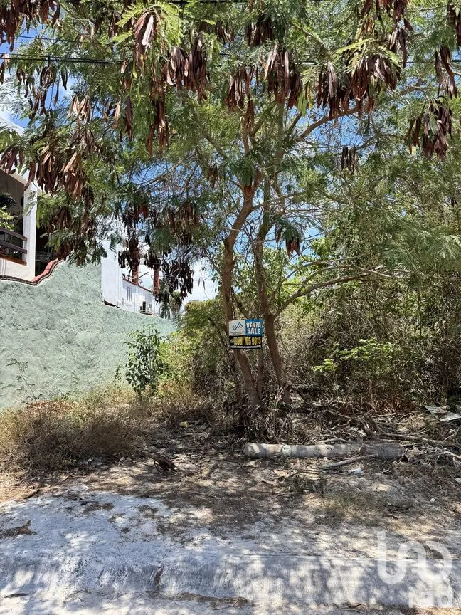 Terreno en Venta en Región 503, Benito Juárez, Quintana Roo | NEX-283175 | iad México | Foto 1 de 6
