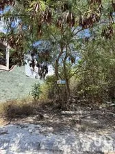 NEX-283175 - Terreno en Venta en Región 503, CP 77533, Quintana Roo.