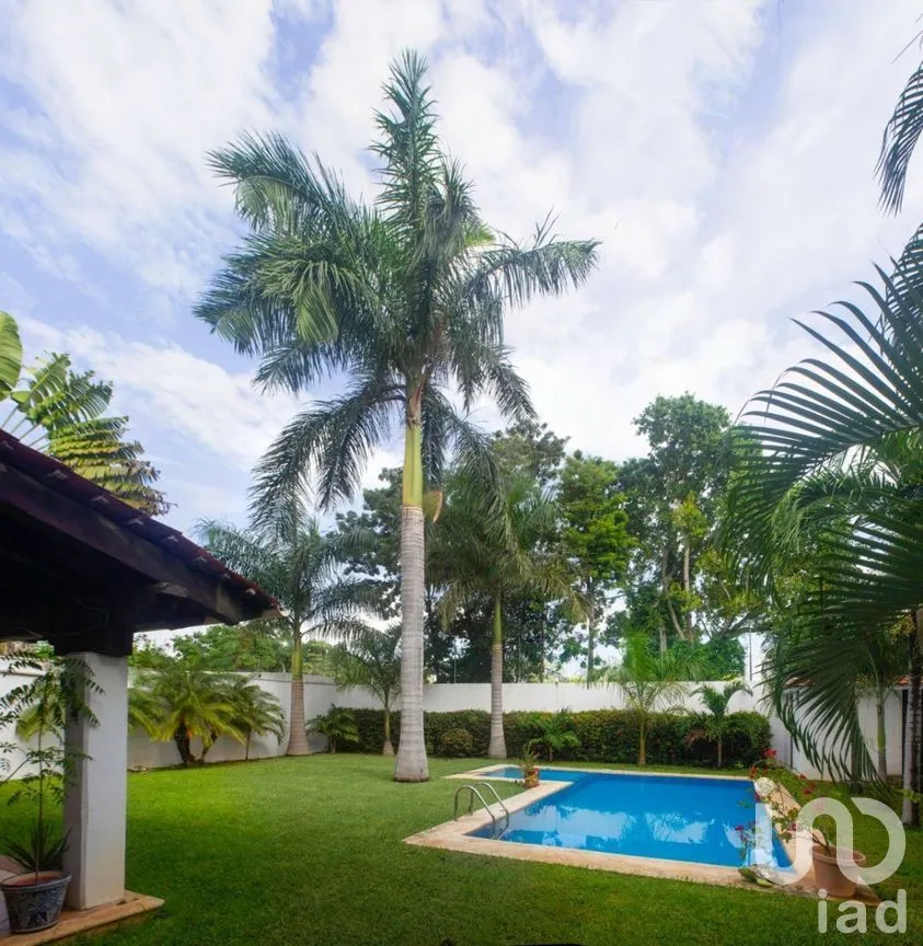 Casa en Renta en Campestre, Benito Juárez, Quintana Roo | NEX-289458 | iad México | Foto 4 de 22