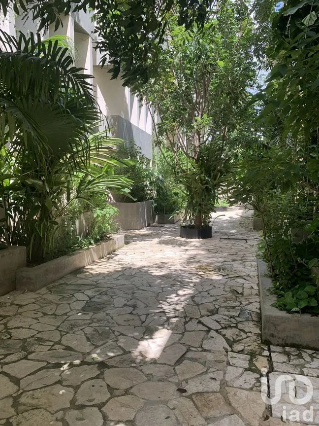 Departamento en Renta en Santa Gertrudis Copo, Mérida, Yucatán | NEX-227852 | iad México | Foto 11 de 15