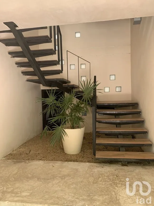 Departamento en Renta en Santa Gertrudis Copo, Mérida, Yucatán | NEX-227852 | iad México | Foto 10 de 15