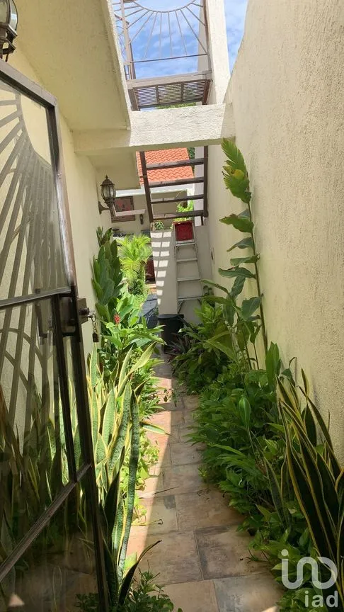 Casa en Renta en Mérida Centro, Mérida, Yucatán | NEX-231525 | iad México | Foto 21 de 22