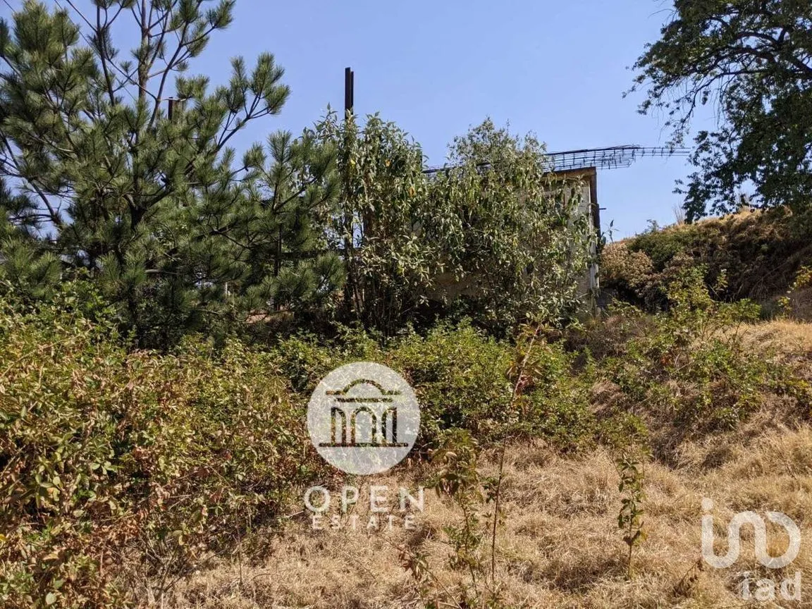 Terreno en Venta en Santiago Tianguistenco de Galeana, Tianguistenco, Estado De México | NEX-226944 | iad México | Foto 12 de 16