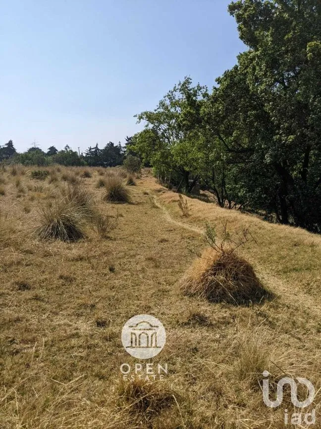 Terreno en Venta en Santiago Tianguistenco de Galeana, Tianguistenco, Estado De México | NEX-226944 | iad México | Foto 5 de 16