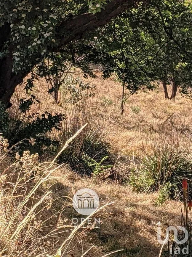 Terreno en Venta en Santiago Tianguistenco de Galeana, Tianguistenco, Estado De México | NEX-226944 | iad México | Foto 7 de 16