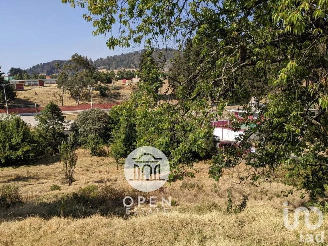 Terreno en Venta en Santiago Tianguistenco de Galeana, Tianguistenco, Estado De México | NEX-226944 | iad México | Foto 8 de 16