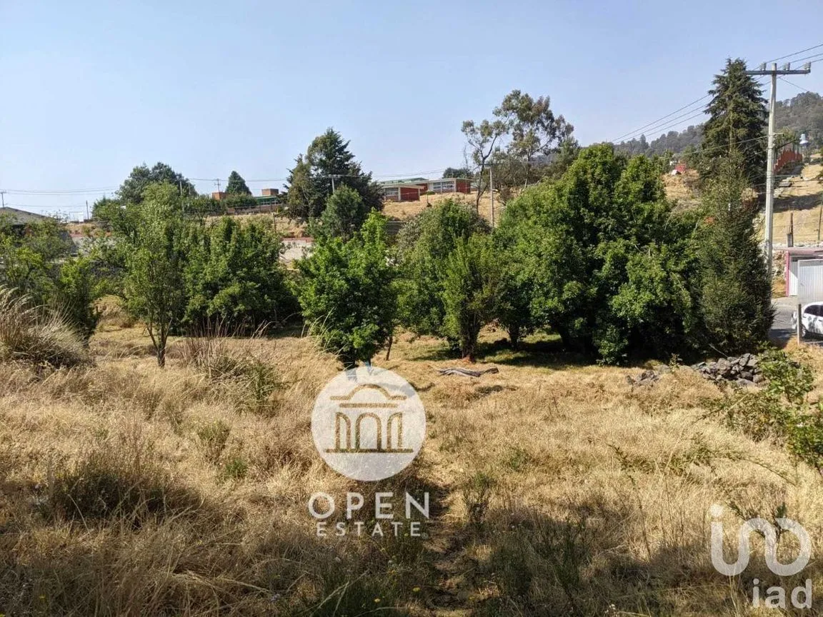 Terreno en Venta en Santiago Tianguistenco de Galeana, Tianguistenco, Estado De México | NEX-226944 | iad México | Foto 10 de 16