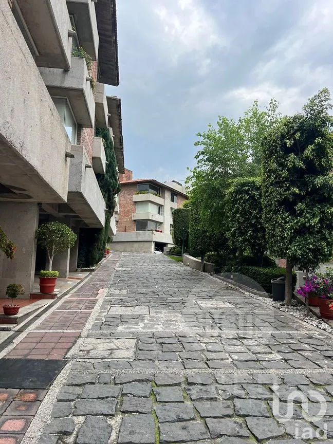 Departamento en Renta en Tetelpan, Álvaro Obregón, Ciudad de México | NEX-227680 | iad México | Foto 22 de 24