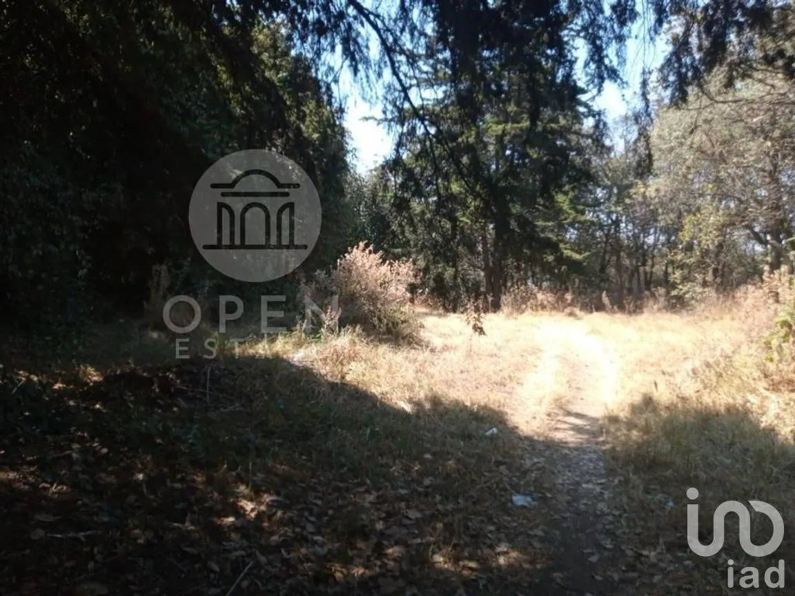 Terreno en Venta en San Andrés Totoltepec, Tlalpan, Ciudad de México | NEX-268218 | iad México | Foto 2 de 9