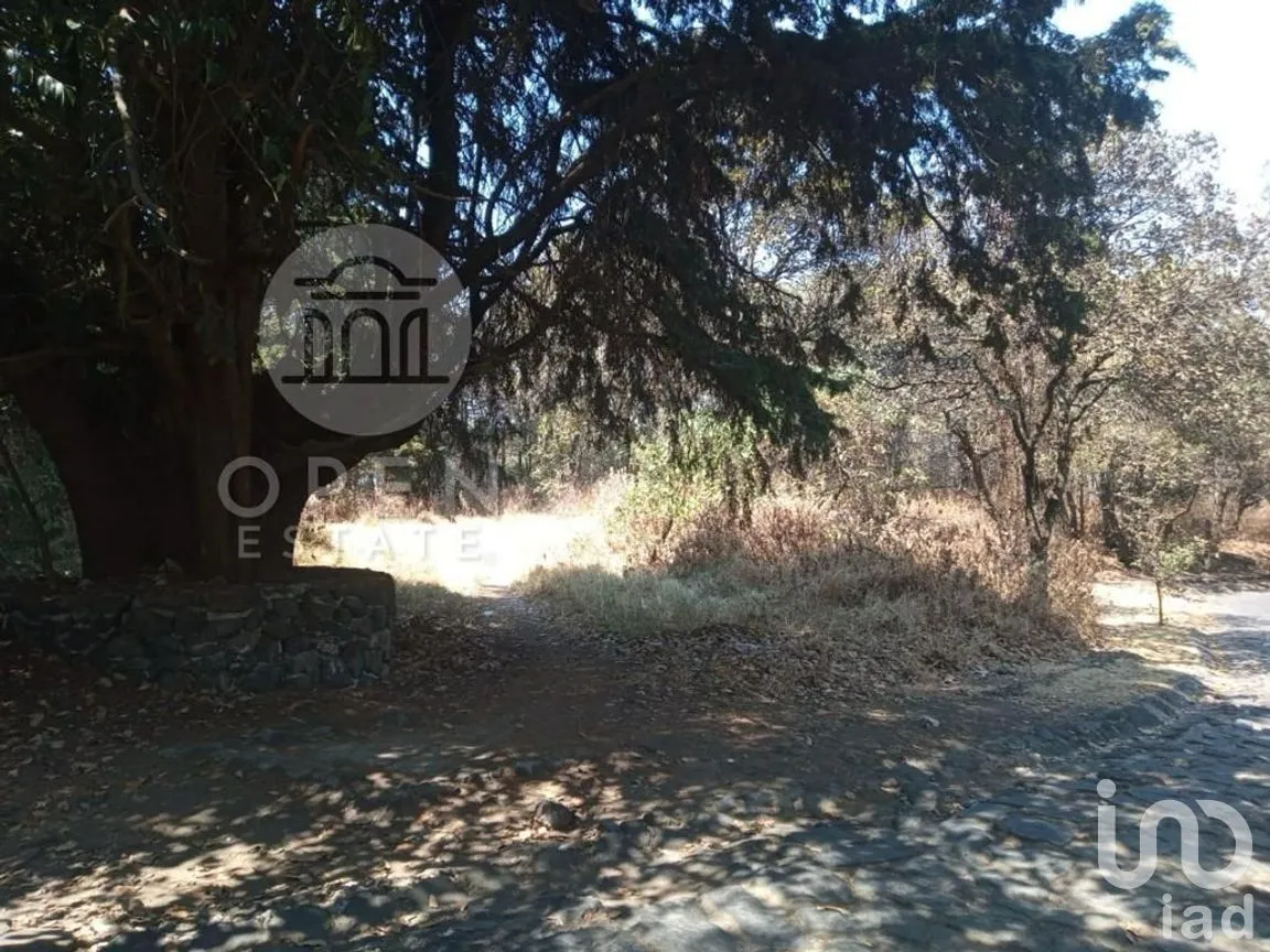 Terreno en Venta en San Andrés Totoltepec, Tlalpan, Ciudad de México | NEX-268218 | iad México | Foto 3 de 9