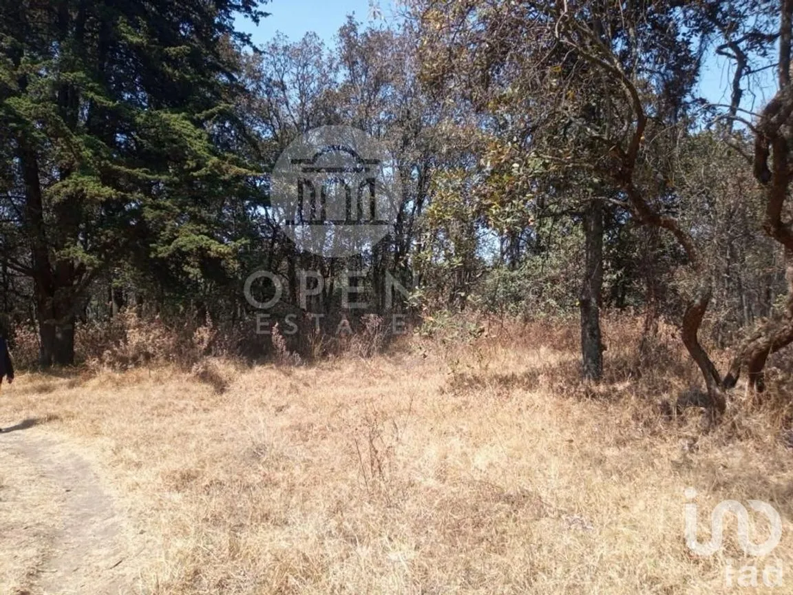 Terreno en Venta en San Andrés Totoltepec, Tlalpan, Ciudad de México | NEX-268218 | iad México | Foto 4 de 9