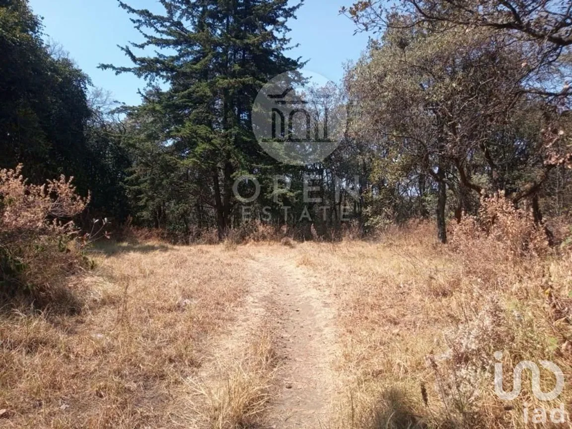 Terreno en Venta en San Andrés Totoltepec, Tlalpan, Ciudad de México | NEX-268218 | iad México | Foto 5 de 9