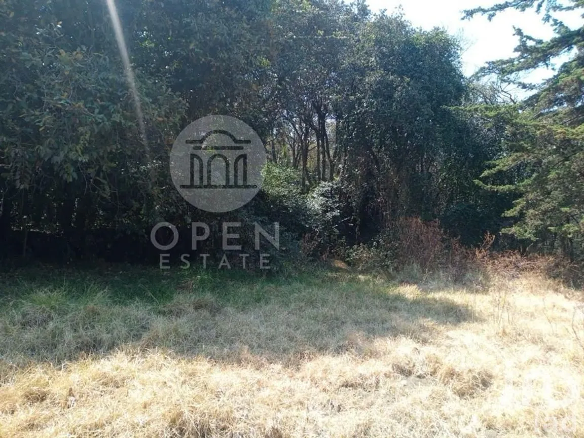 Terreno en Venta en San Andrés Totoltepec, Tlalpan, Ciudad de México | NEX-268218 | iad México | Foto 6 de 9
