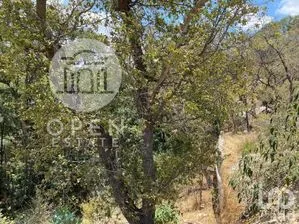 NEX-269751 - Terreno en Venta en Condado de Sayavedra, CP 52938, Estado de México.