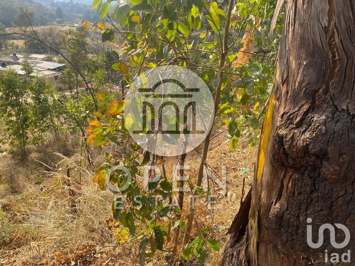 Terreno en Venta en Vicente Guerrero 1a. Sección, Nicolás Romero, Estado de México | NEX-269756 | iad México | Foto 3 de 32