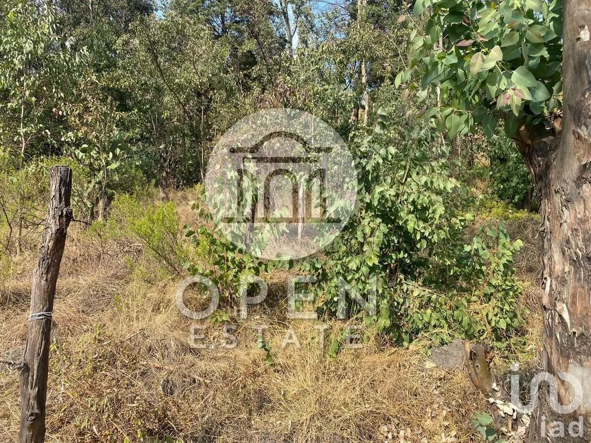 Terreno en Venta en Vicente Guerrero 1a. Sección, Nicolás Romero, Estado de México | NEX-269756 | iad México | Foto 23 de 32