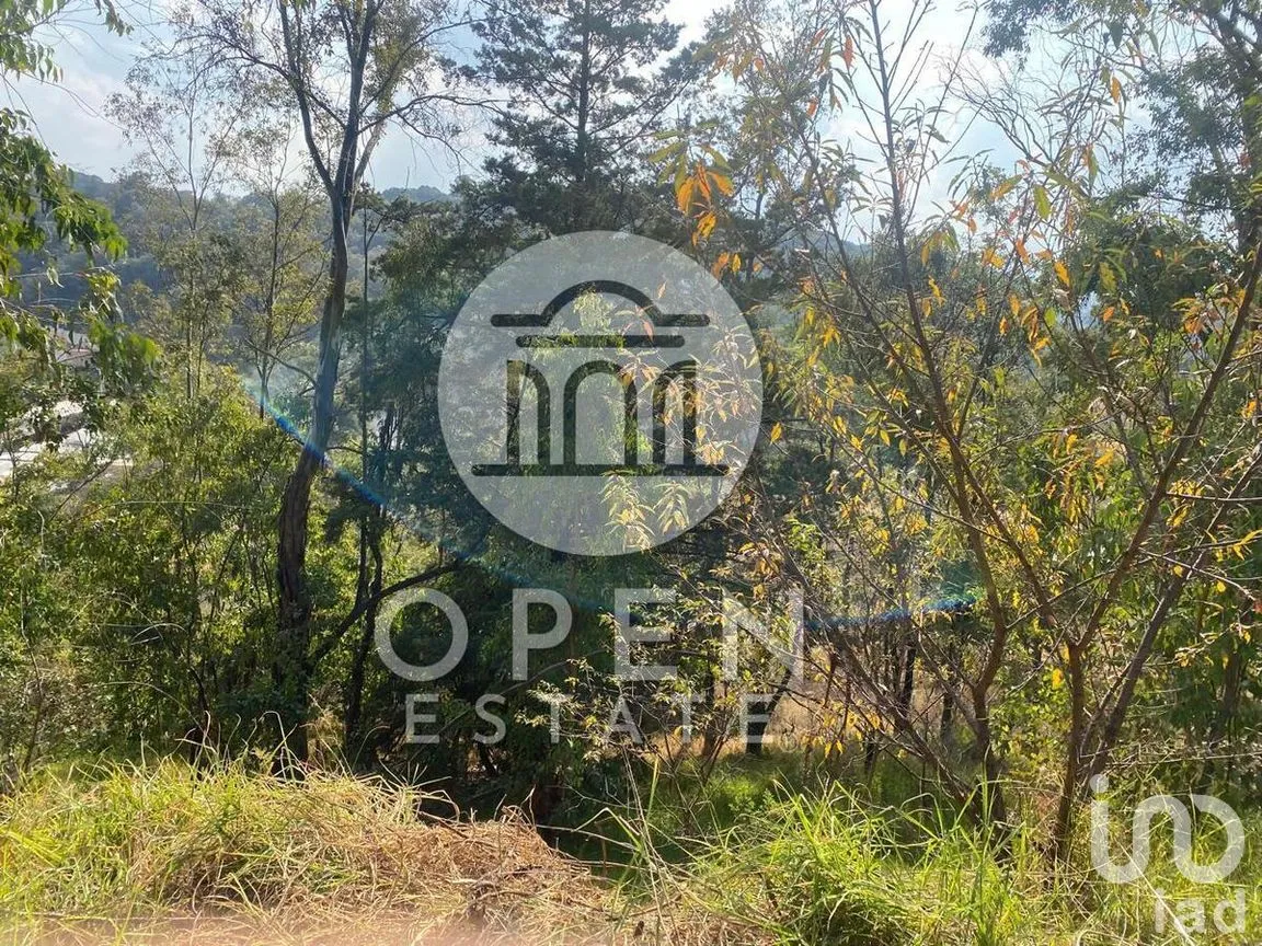 Terreno en Venta en Vicente Guerrero 1a. Sección, Nicolás Romero, Estado de México | NEX-269756 | iad México | Foto 9 de 32