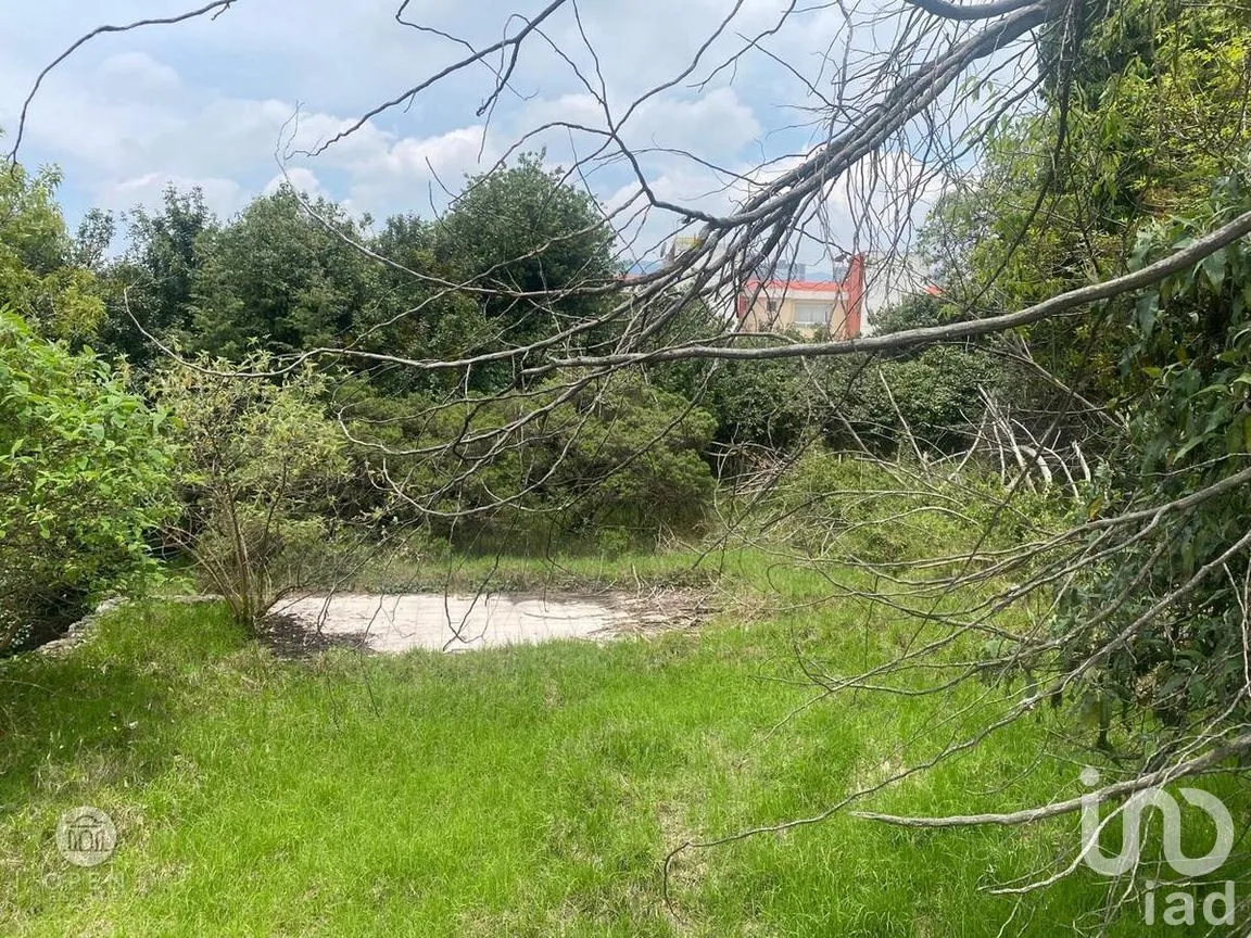Terreno en Venta en Cuajimalpa, Cuajimalpa de Morelos, Ciudad de México | NEX-270413 | iad México | Foto 17 de 21