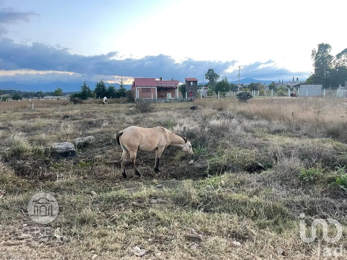 Casa en Venta en Huasca de Ocampo Centro, Huasca de Ocampo, Hidalgo | NEX-278952 | iad México | Foto 45 de 49