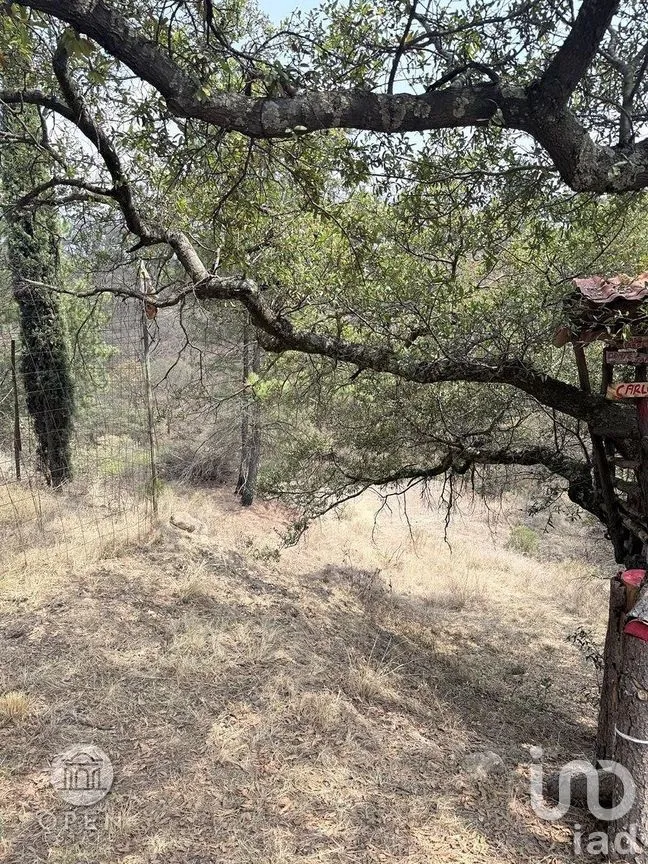 Terreno en Venta en San Francisco Magu, Nicolás Romero, Estado de México | NEX-292224 | iad México | Foto 40 de 47