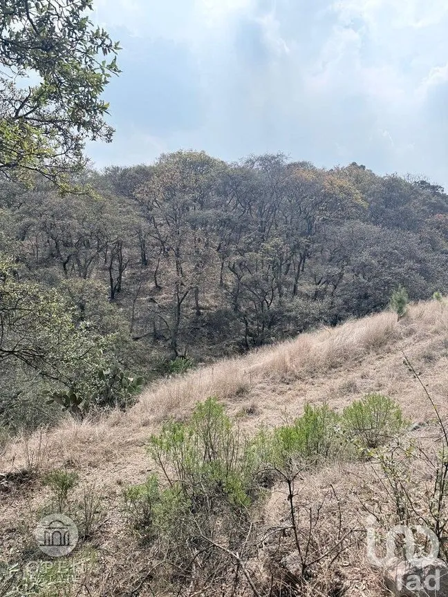 Terreno en Venta en San Francisco Magu, Nicolás Romero, Estado de México | NEX-292224 | iad México | Foto 41 de 47