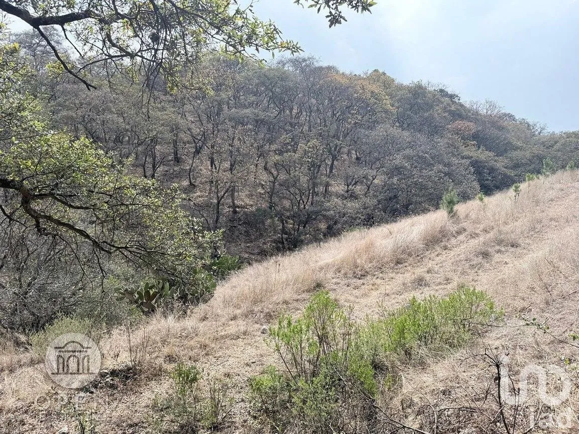 Terreno en Venta en San Francisco Magu, Nicolás Romero, Estado de México | NEX-292224 | iad México | Foto 43 de 47