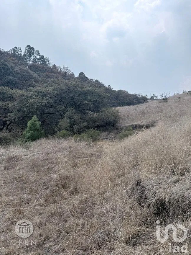 Terreno en Venta en San Francisco Magu, Nicolás Romero, Estado de México | NEX-292224 | iad México | Foto 46 de 47