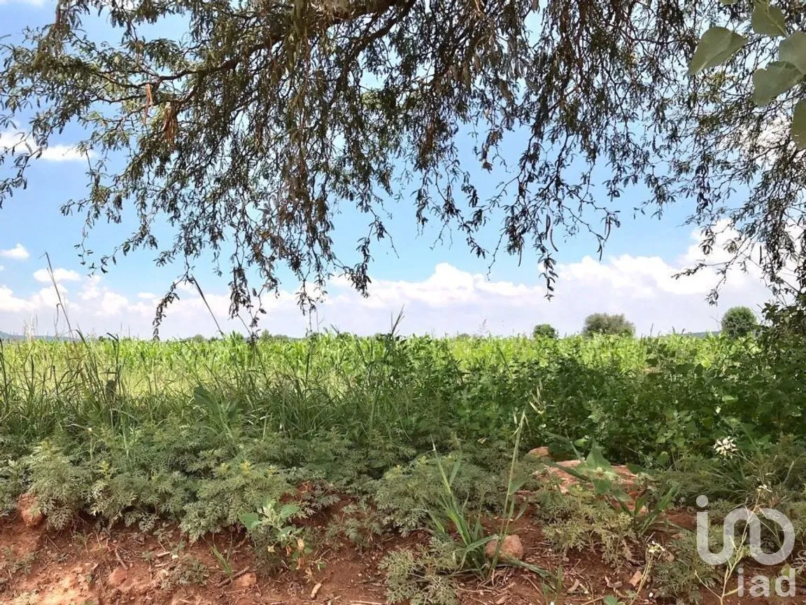 Terreno en Venta en Corral de Piedras de Arriba, San Miguel de Allende, Guanajuato | NEX-268547 | iad México | Foto 2 de 6