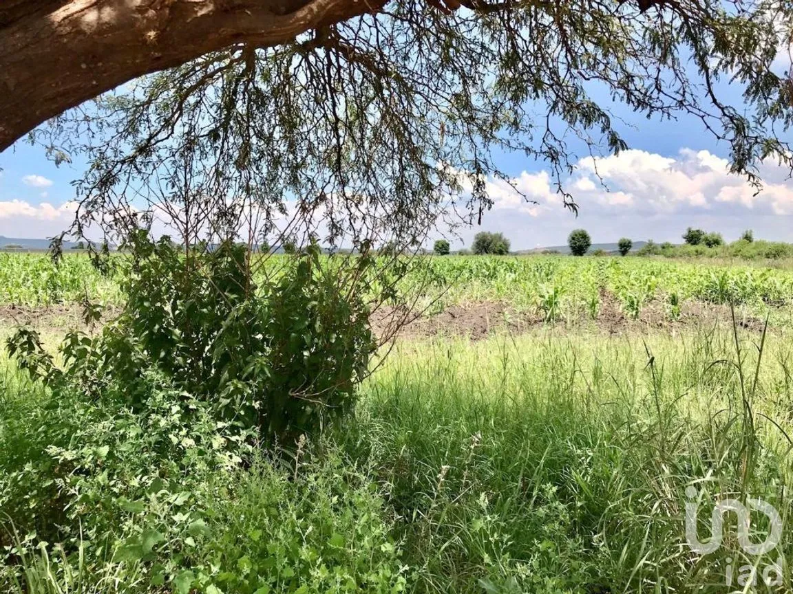 Terreno en Venta en Corral de Piedras de Arriba, San Miguel de Allende, Guanajuato | NEX-268547 | iad México | Foto 3 de 6