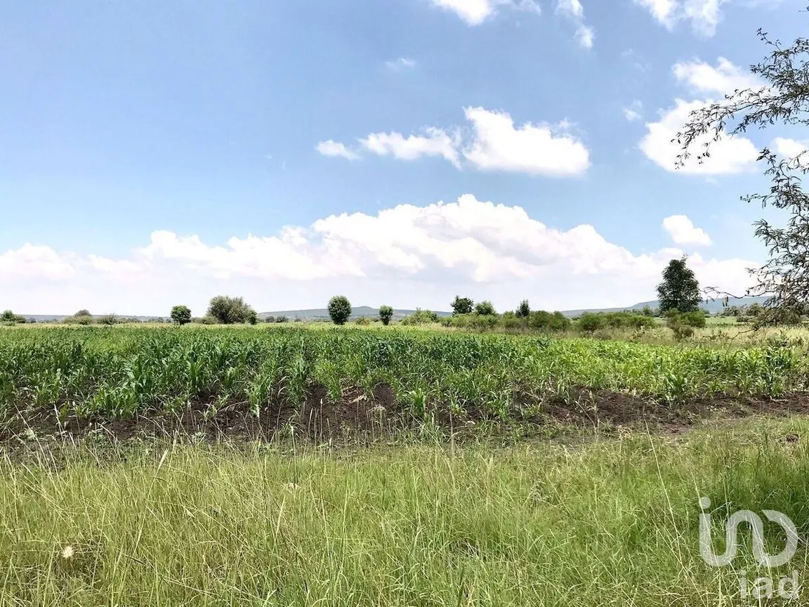 Terreno en Venta en Corral de Piedras de Arriba, San Miguel de Allende, Guanajuato | NEX-268547 | iad México | Foto 4 de 6
