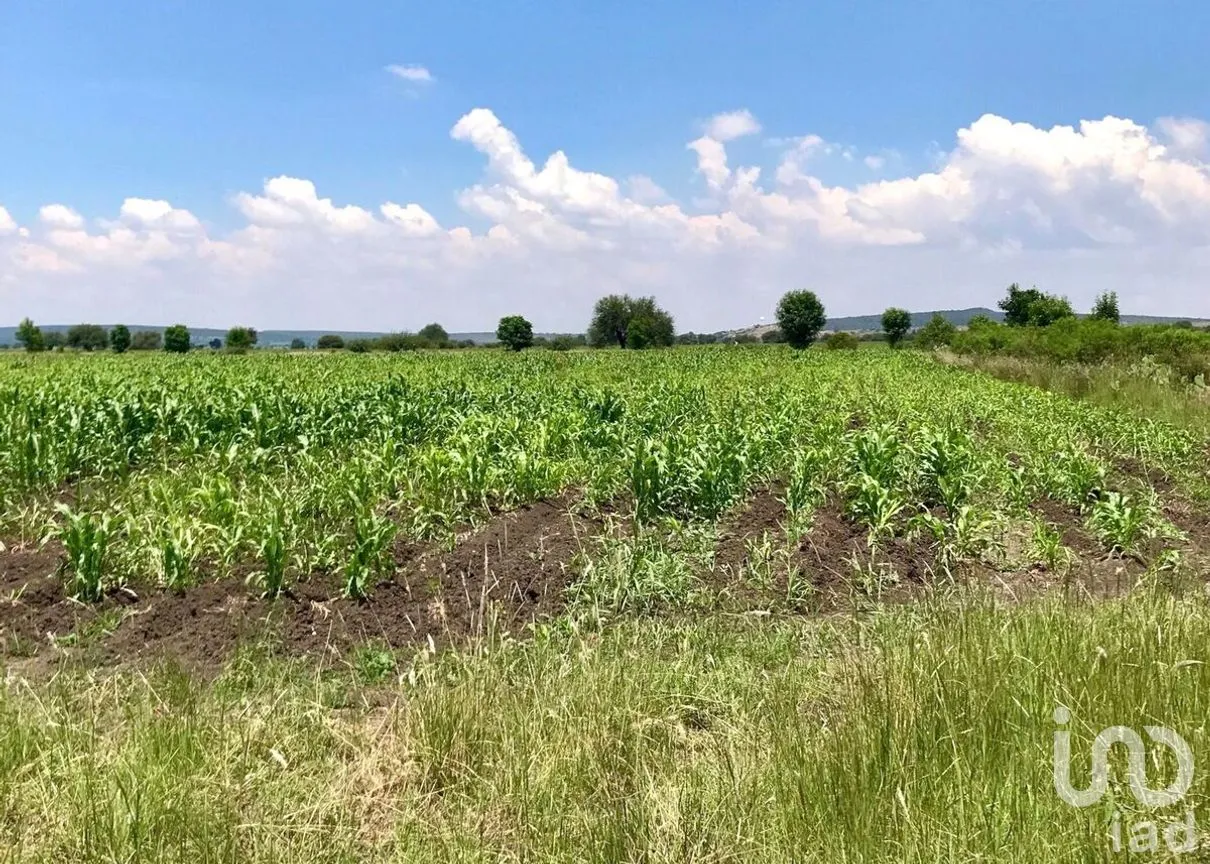 Terreno en Venta en Corral de Piedras de Arriba, San Miguel de Allende, Guanajuato | NEX-268547 | iad México | Foto 5 de 6