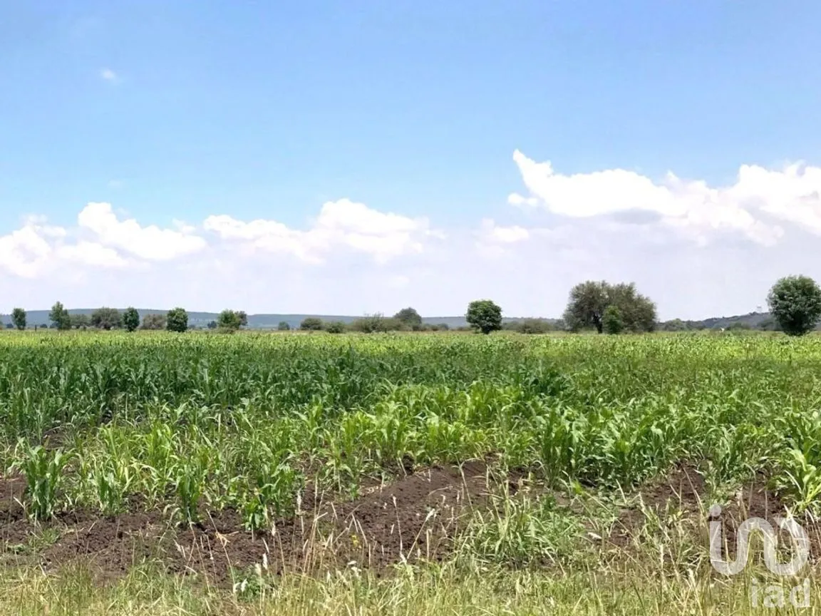 Terreno en Venta en Corral de Piedras de Arriba, San Miguel de Allende, Guanajuato | NEX-268547 | iad México | Foto 1 de 6