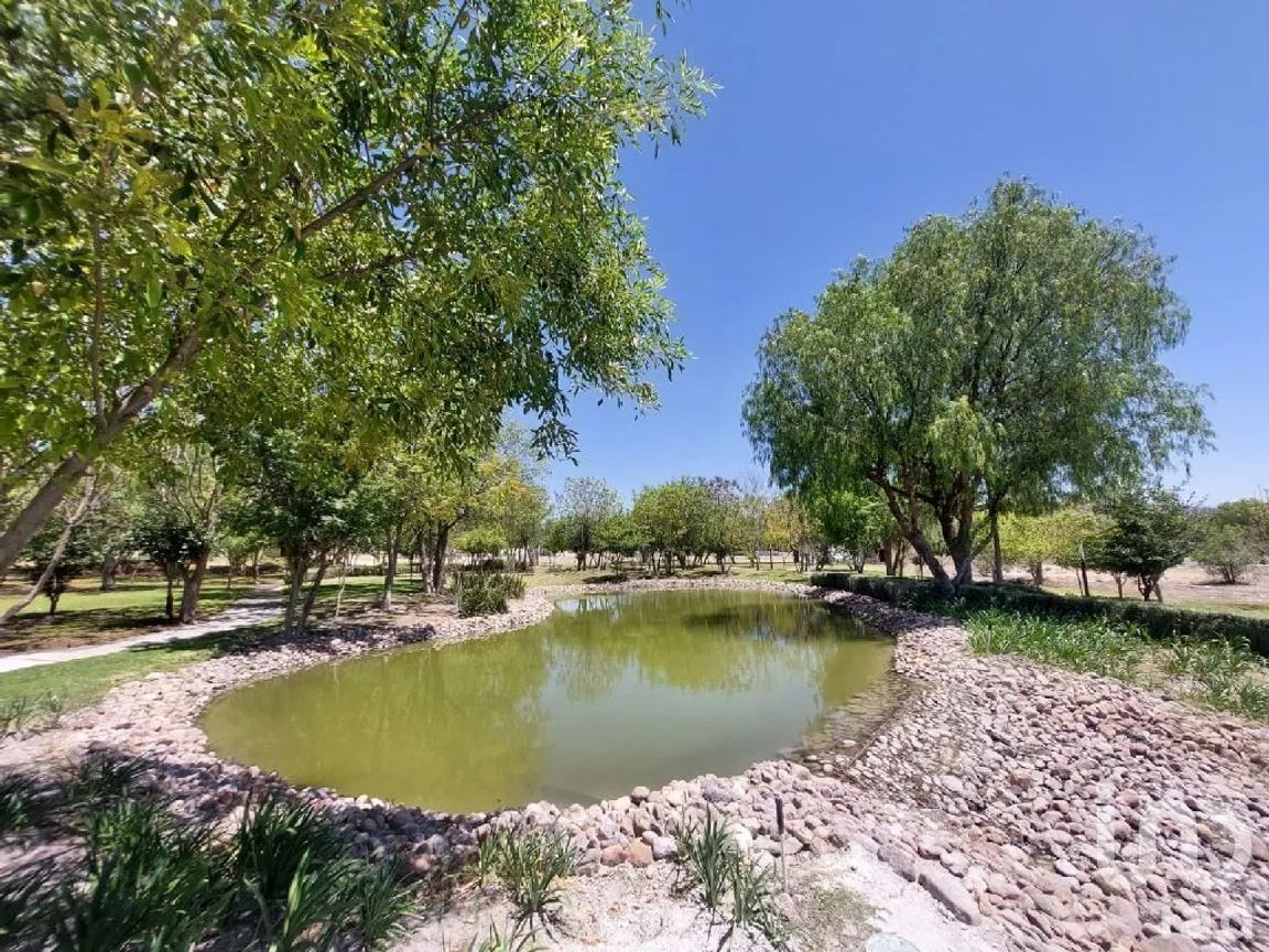 Terreno en Venta en San Miguel Viejo, San Miguel de Allende, Guanajuato | NEX-278001 | iad México | Foto 18 de 22