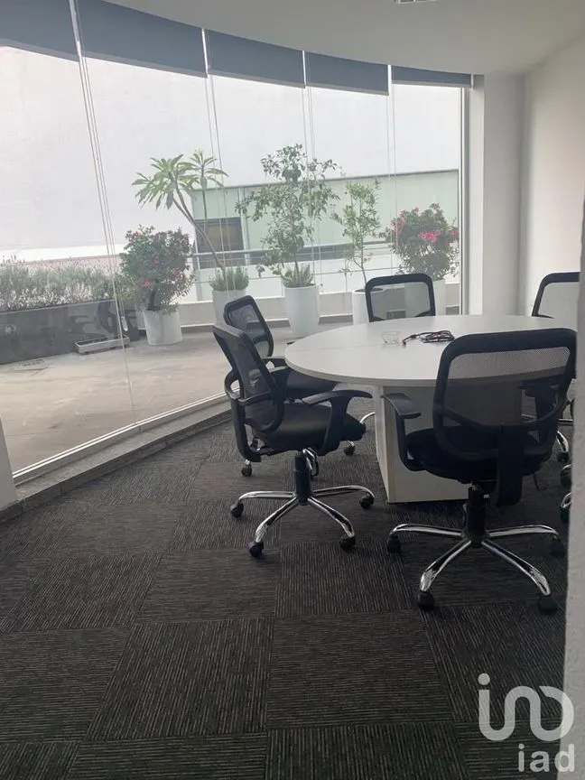 Oficina en Renta en San Jerónimo Lídice, La Magdalena Contreras, Ciudad de México | NEX-226636 | iad México | Foto 8 de 12
