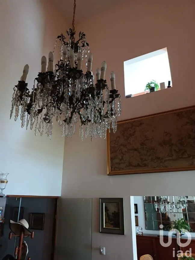 Casa en Venta en Chimalistac, Álvaro Obregón, Ciudad de México | NEX-226637 | iad México | Foto 6 de 24