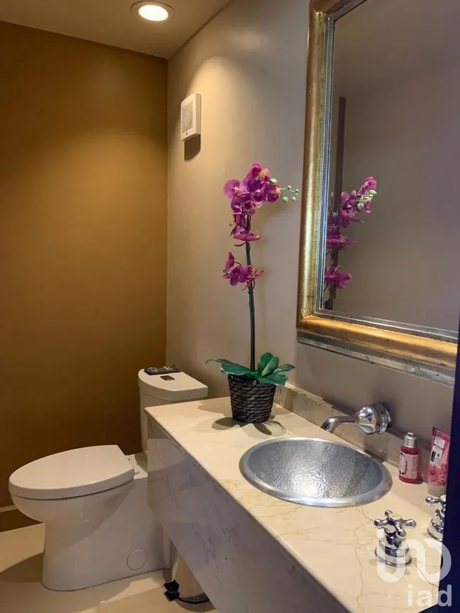Departamento en Renta en Polanco IV Sección, Miguel Hidalgo, Ciudad de México | NEX-229122 | iad México | Foto 17 de 29