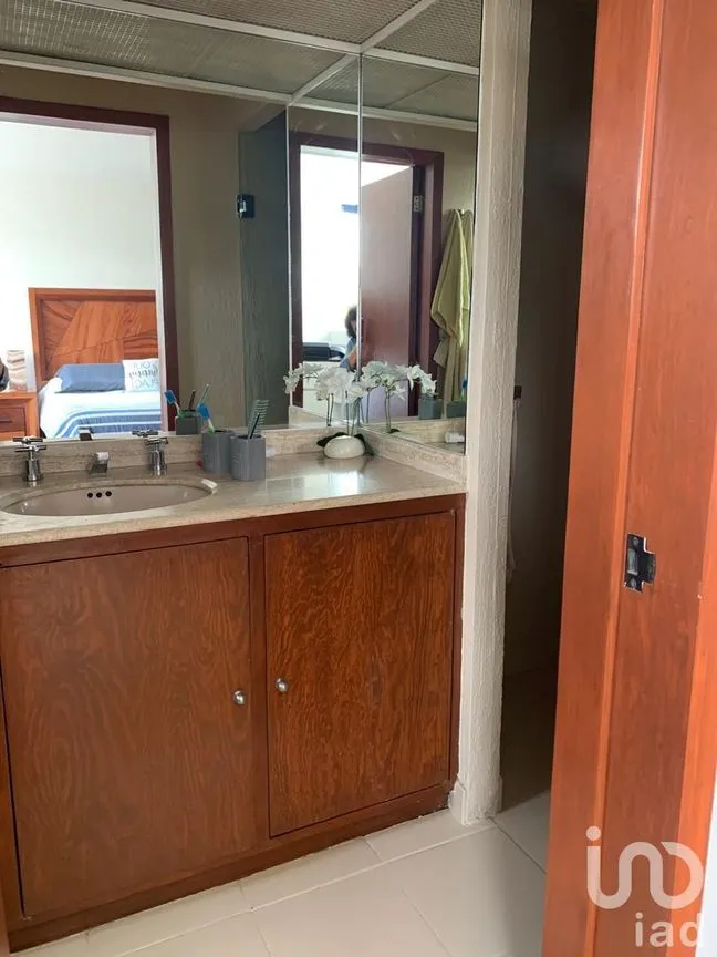 Departamento en Renta en Polanco IV Sección, Miguel Hidalgo, Ciudad de México | NEX-229122 | iad México | Foto 23 de 29