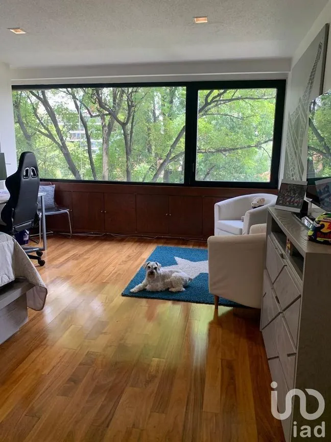 Departamento en Renta en Polanco IV Sección, Miguel Hidalgo, Ciudad de México | NEX-229122 | iad México | Foto 25 de 29