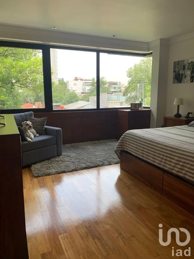 Departamento en Renta en Polanco IV Sección, Miguel Hidalgo, Ciudad de México | NEX-229122 | iad México | Foto 4 de 29