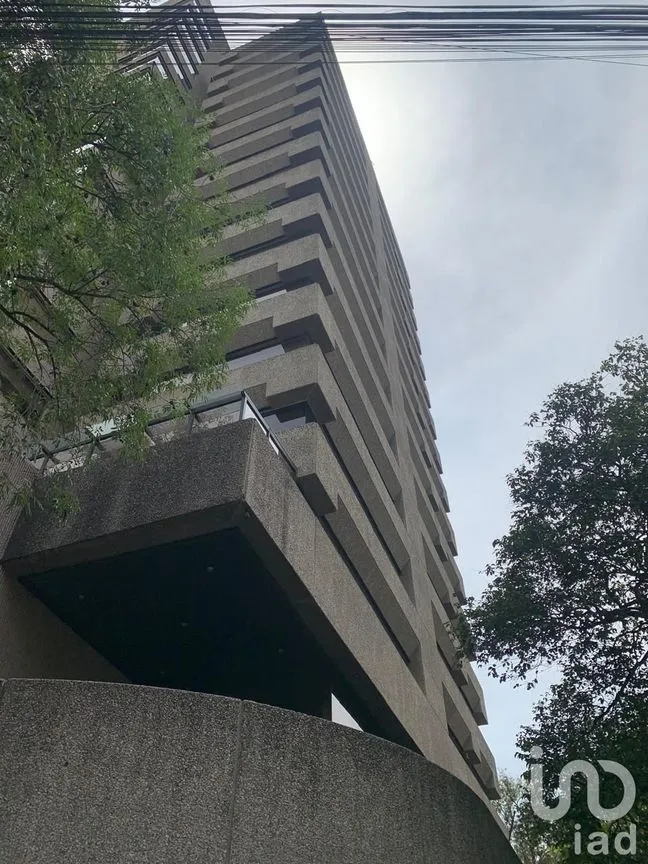 Departamento en Renta en Polanco IV Sección, Miguel Hidalgo, Ciudad de México | NEX-229122 | iad México | Foto 6 de 29