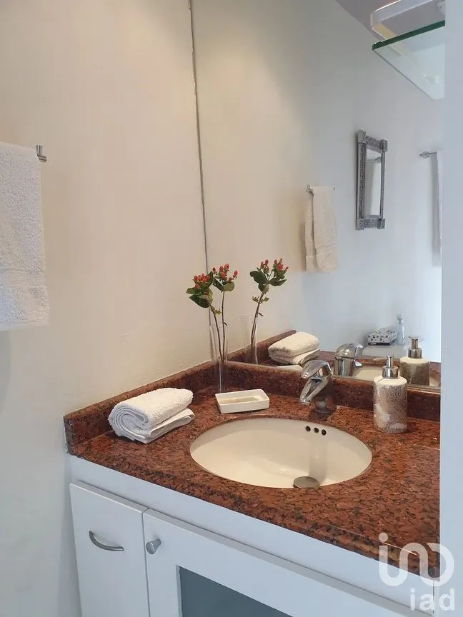 Departamento en Venta en Roma Norte, Cuauhtémoc, Ciudad de México | NEX-229356 | iad México | Foto 8 de 26