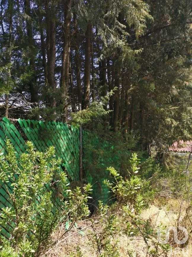Terreno en Venta en Espíritu Santo, Jilotzingo, Estado De México | NEX-229301 | iad México | Foto 2 de 14