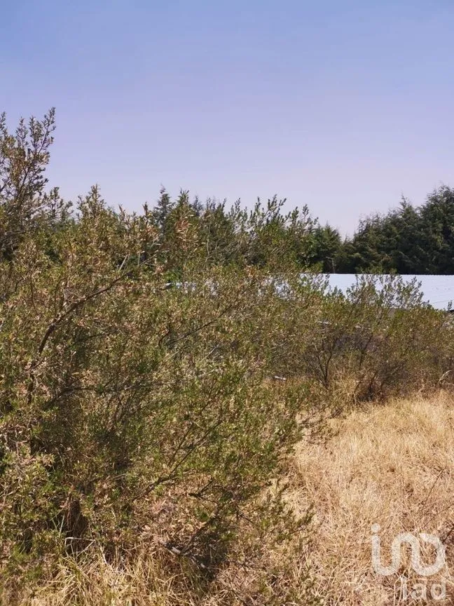 Terreno en Venta en Espíritu Santo, Jilotzingo, Estado De México | NEX-229301 | iad México | Foto 11 de 14
