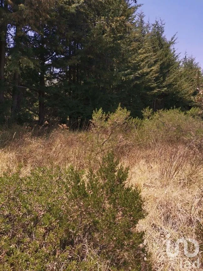 Terreno en Venta en Espíritu Santo, Jilotzingo, Estado De México | NEX-229301 | iad México | Foto 13 de 14